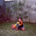 1 year old 3